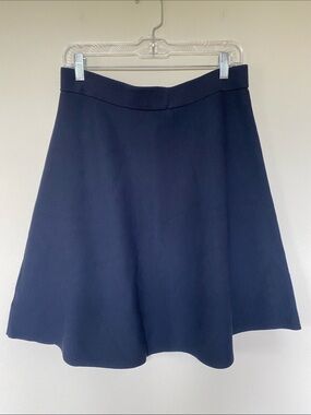 Lark & Ro Navy Circle Skirt